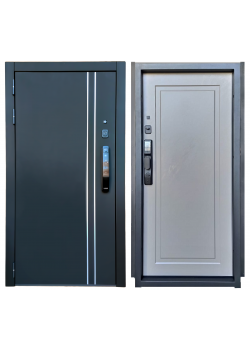 Новинки 2025 года  (Входные двери)